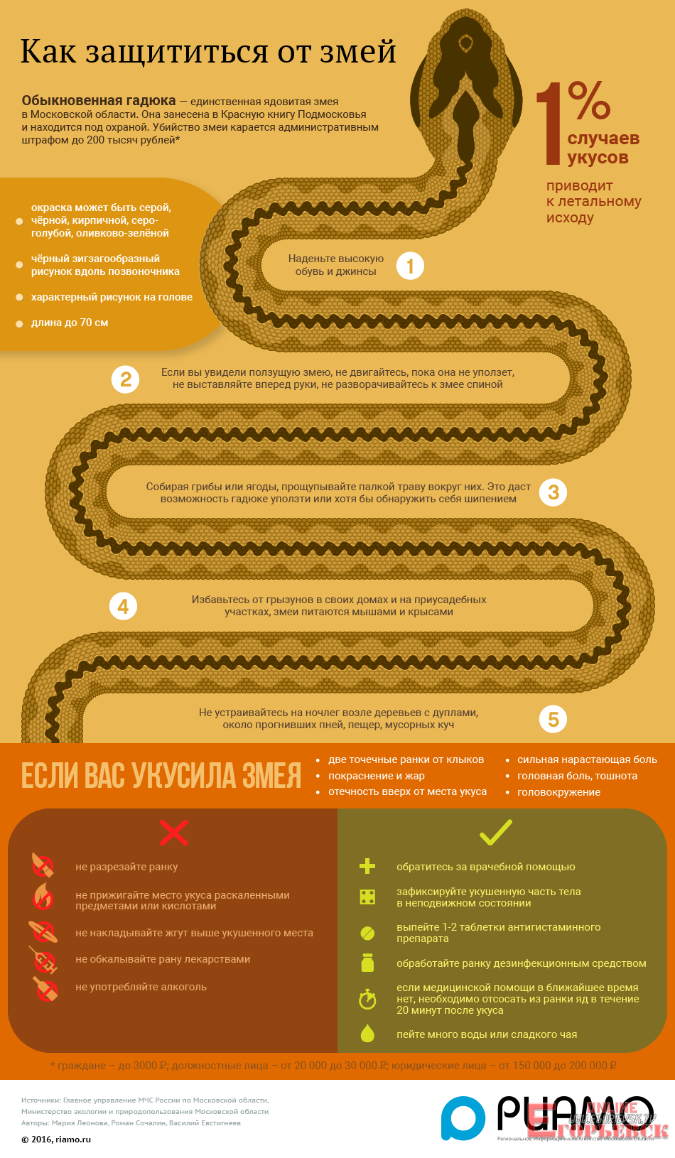 Как защититься от змей » Город Егорьевск. Егорьевск Онлайн «Включи город»  Егорьевский информационный сайт