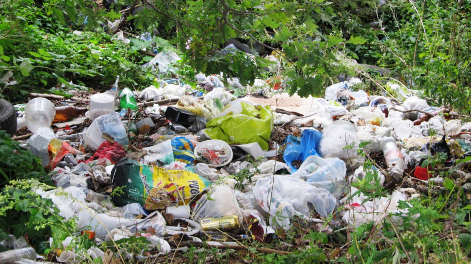 Две тысячи кубометров мусора вывезли из подмосковных лесов